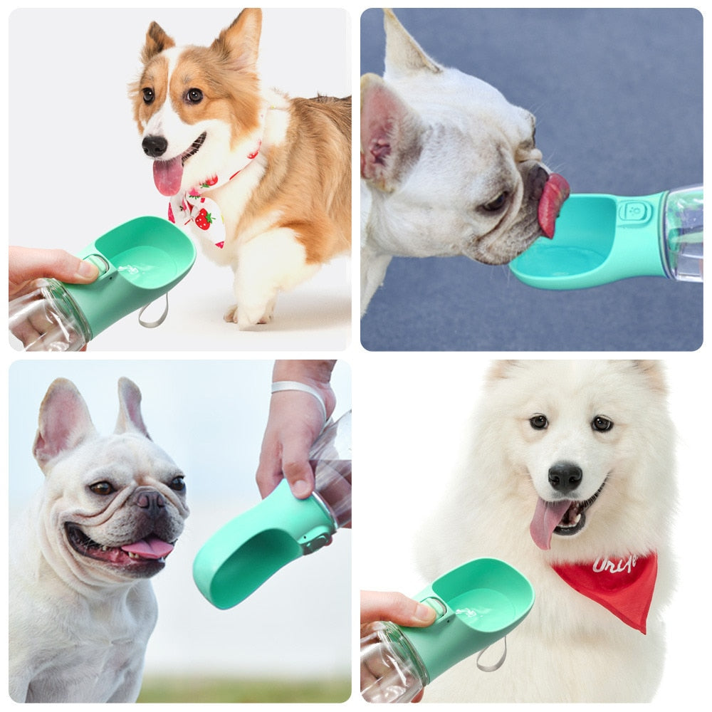 Portable puppy water bottle