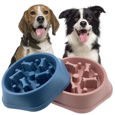 Slow feed dog bowl